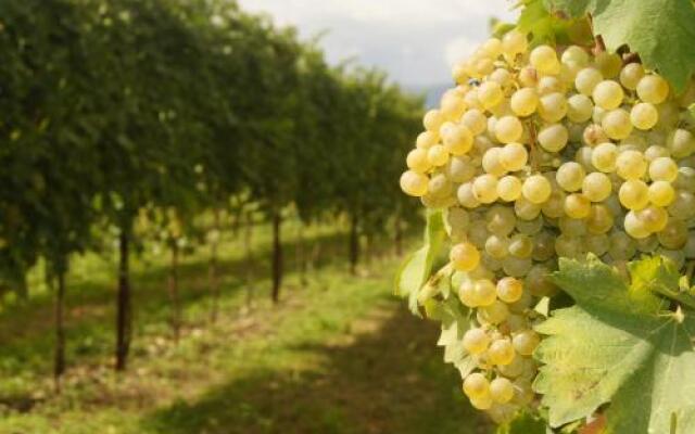 Agriturismo Richeton