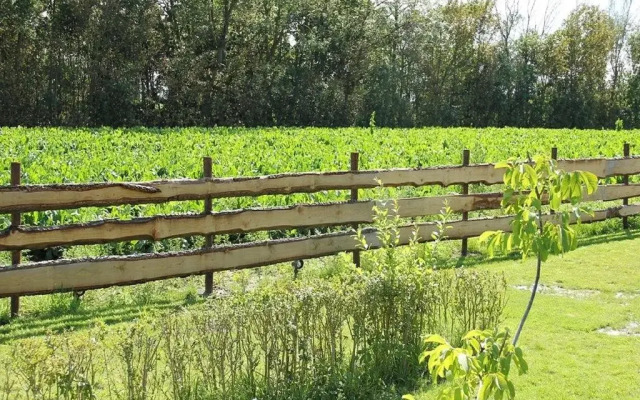 Bij de Weel, Tholen Zeeland