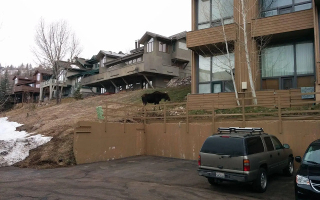 Homestake Condominiums