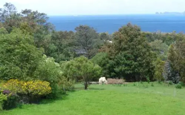 The Eagles View