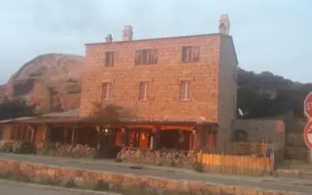 L'oasis du Lion
