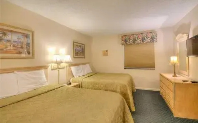 Ocean Forest 1811 - Ocean Front