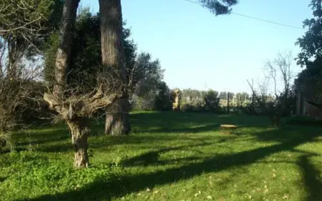 Domus Fabii