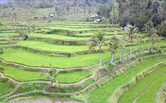 The Kubu Galungan