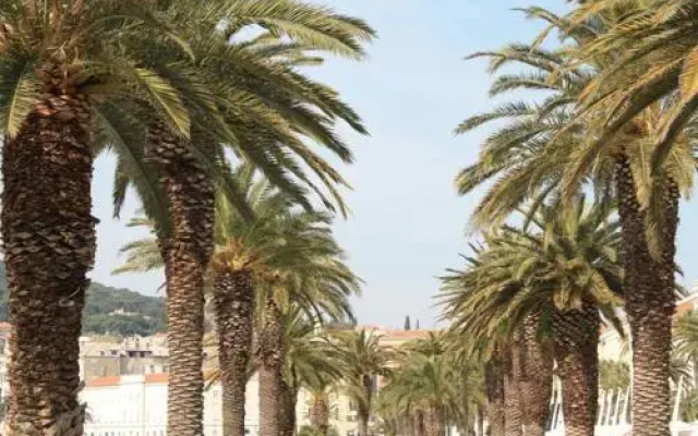 Diocletian Palace Suites