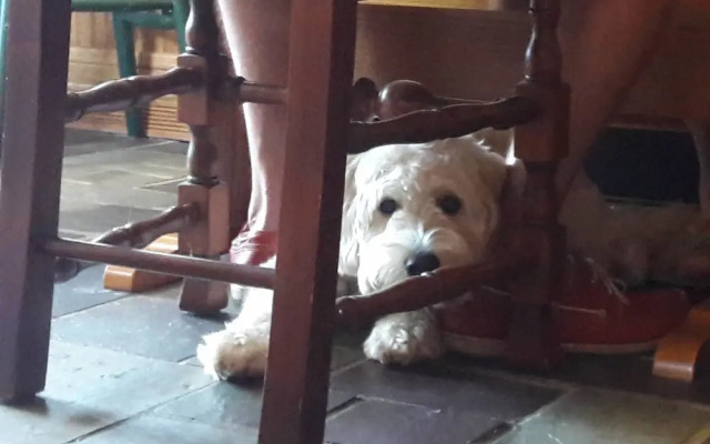 Barclay Heights B&B at Smythe House