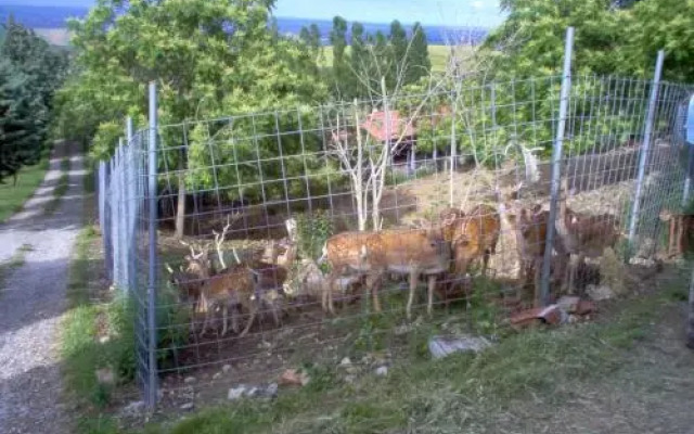 Agriturismo Monte Valbelle