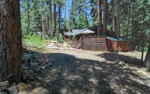 The Bernstein Bear Cabin - 2 Br Cabin