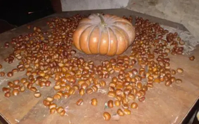 Locanda Montegiovi B&B