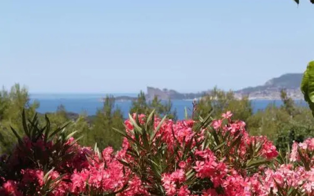 La Maison De La Cadière