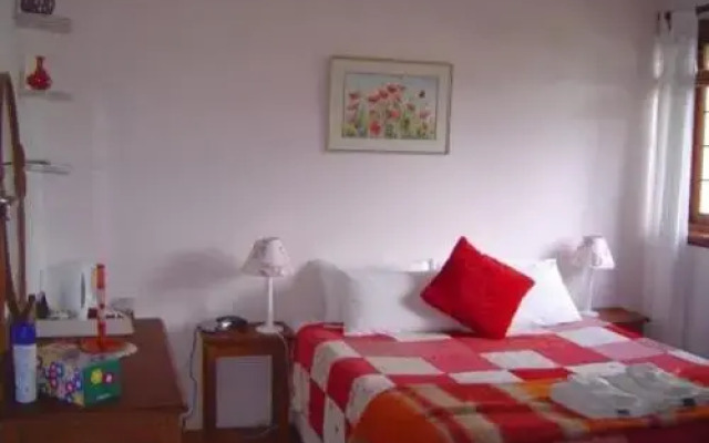 The LemonTree House
