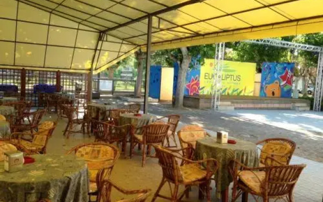 Camping  Village Eucaliptus