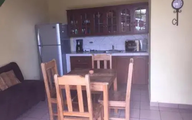 Punto Palmarcito