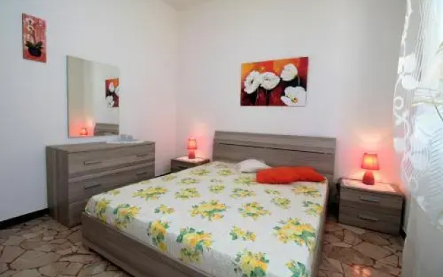 House Argia by Holiday World