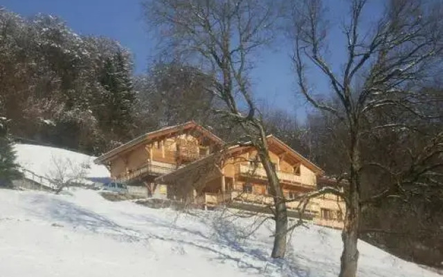 Le Chalet Vue Mont-Blanc