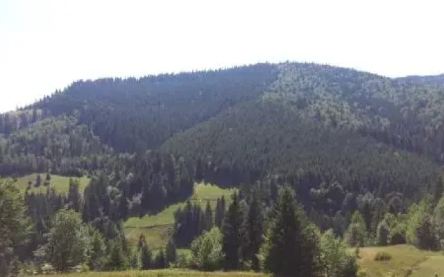 BUKOVINA