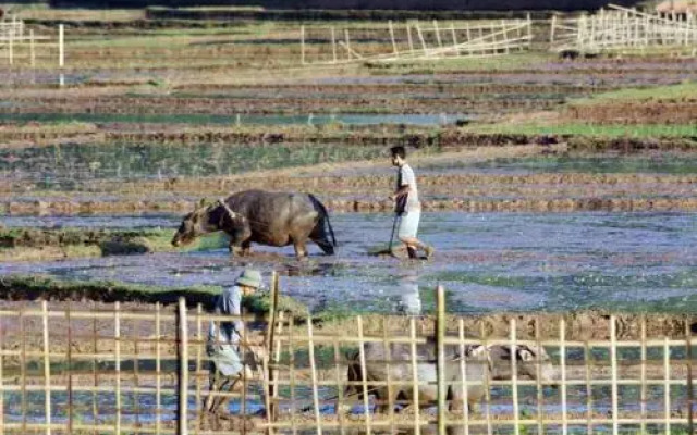 Minh Tho Stilt House