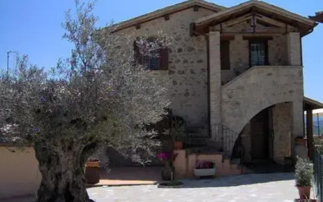 L'Oro di Cicognola