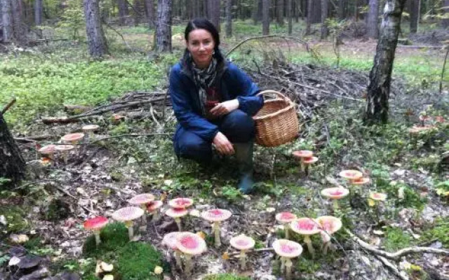 Tündérkert Panzió Őrség