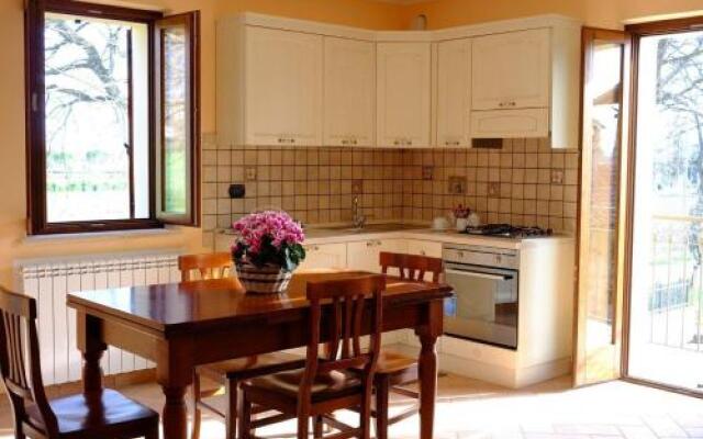 Sulla Strada Di San Francesco