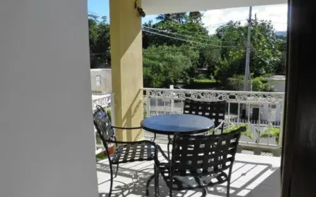 Selva Boutique Hotel - Luquillo Oceanfront Retreat