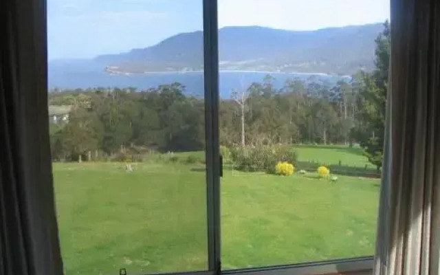 The Eagles View