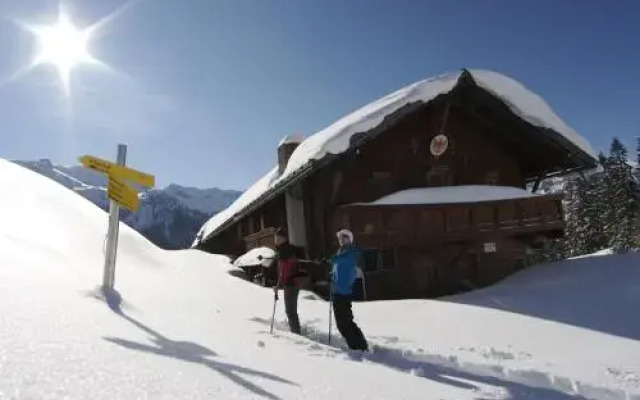 Alpen-Chalets Achensee