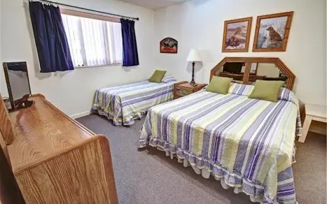 Hibiscus Resort - A103