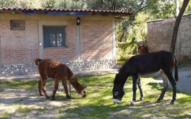 Hotel Rustico Cerro Del Valle