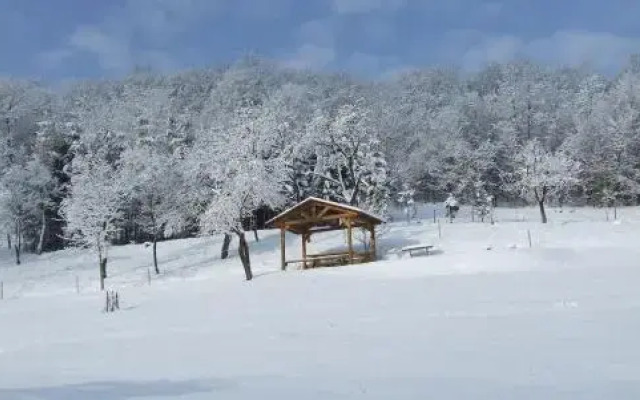 Napsugár Vendégház - Zemplén