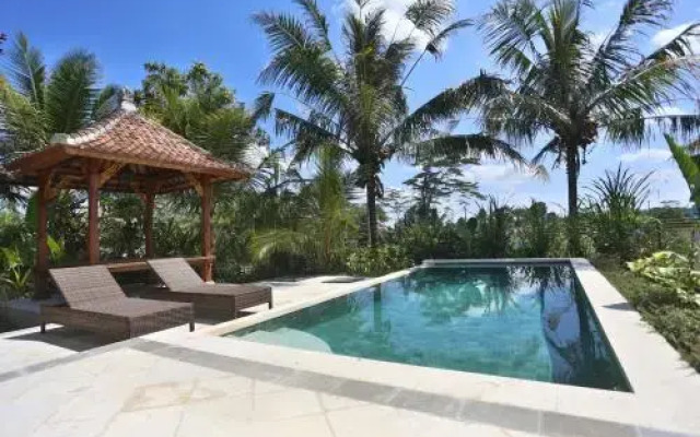 Ubud Rice Field Villa