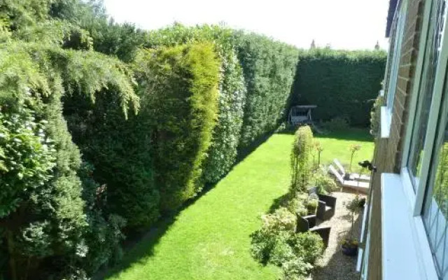 Bage House Bed and Breakfast