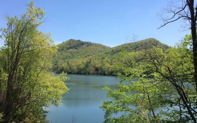 Wolf Creek Cabin - Windy Hollow