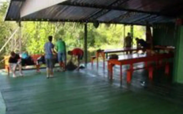 Manaus Jungle Hostel