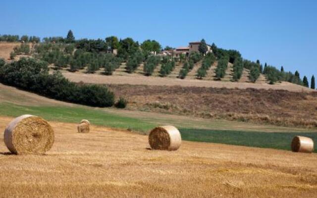 Agriturismo Podere Olivello-Montalcino