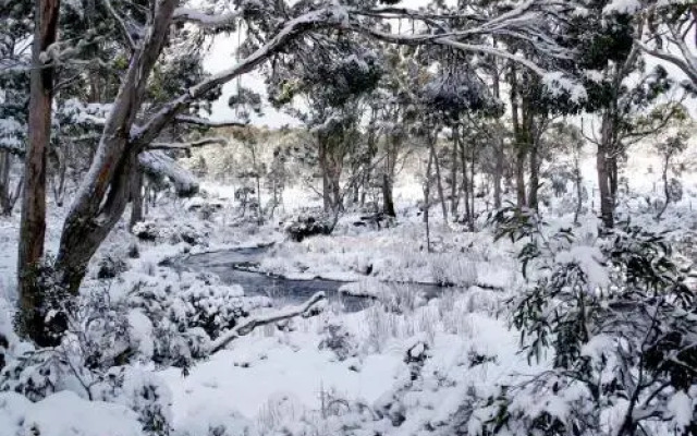 Cradle Mountain Love Shack