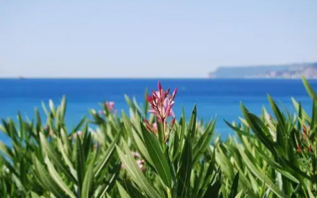 Villa Lina B&B