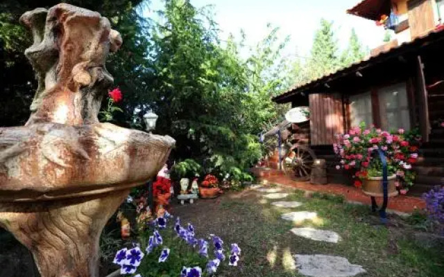 Kotcha in the Village