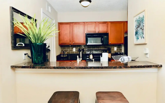 Beautiful Deluxe Clearwater Apartment CP- 803