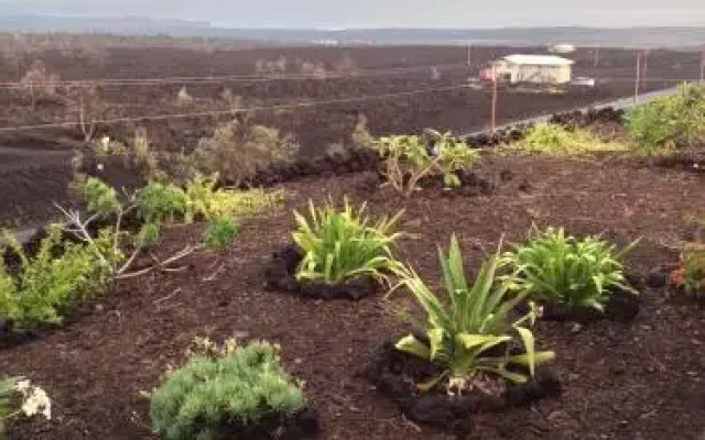 Million Dollar View in Gated Community