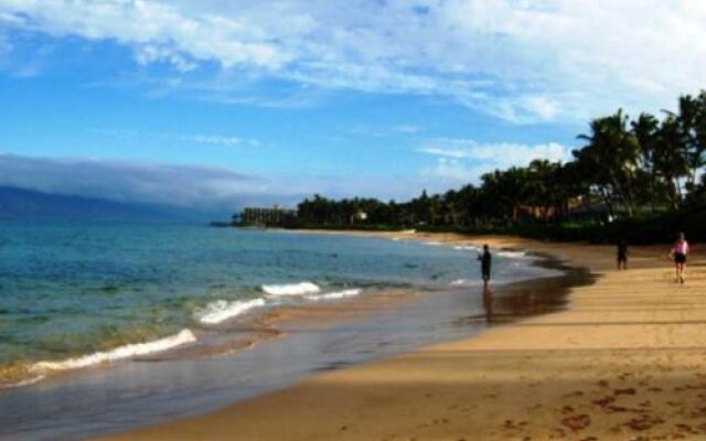 Palms at Wailea #2305