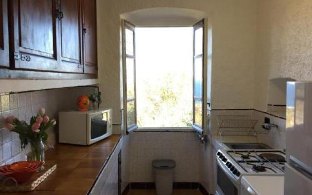 Fontana Piubica Davia