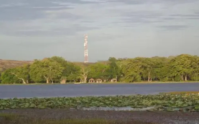 Ecolodge safari