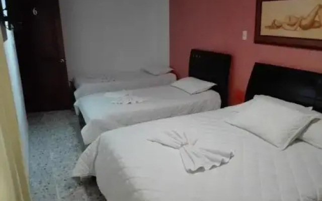 Hotel Orquídea 19