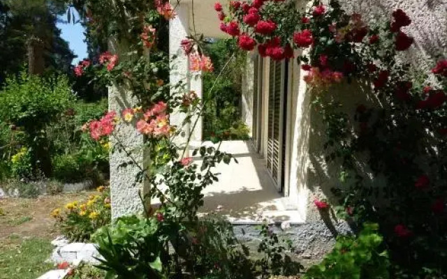 Petros Studios