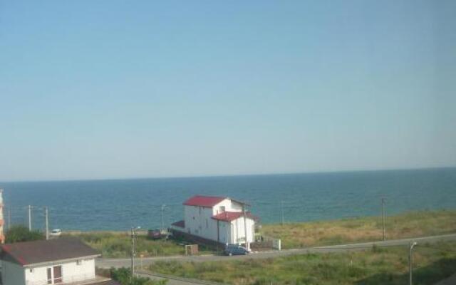 Vila Sophia Costinesti