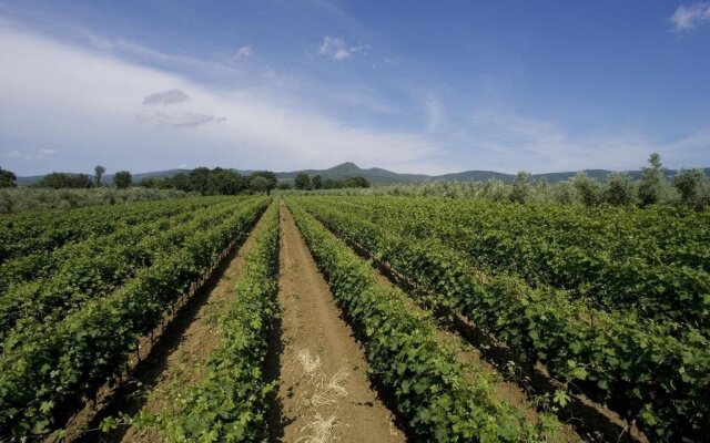 Agriturismo Eucaliptus