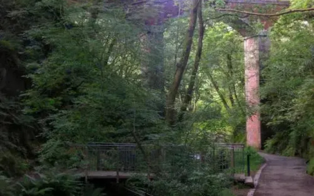 Dolgoch Falls