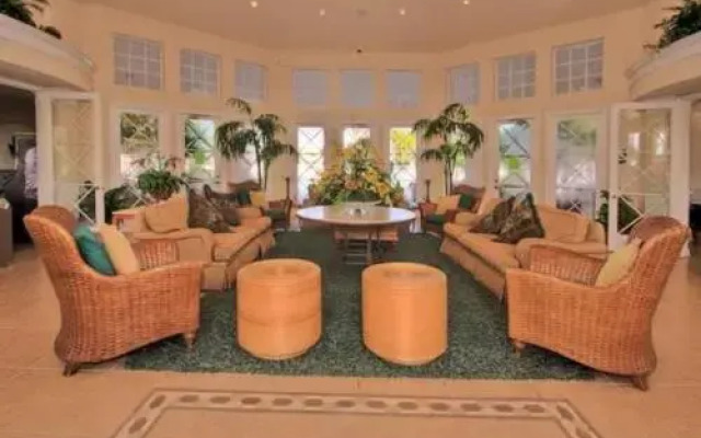 Fiji Palms