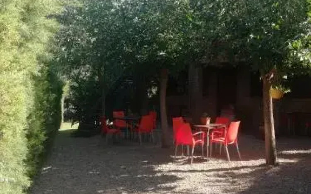 Algarrobos del Mirador